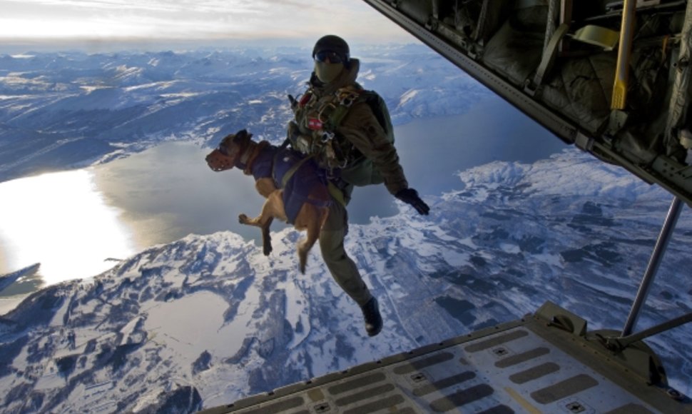 Austrijos kario ir jo šuns šuolis Norvegijoje, per pratybas „Cold Response“ (2010 m.)