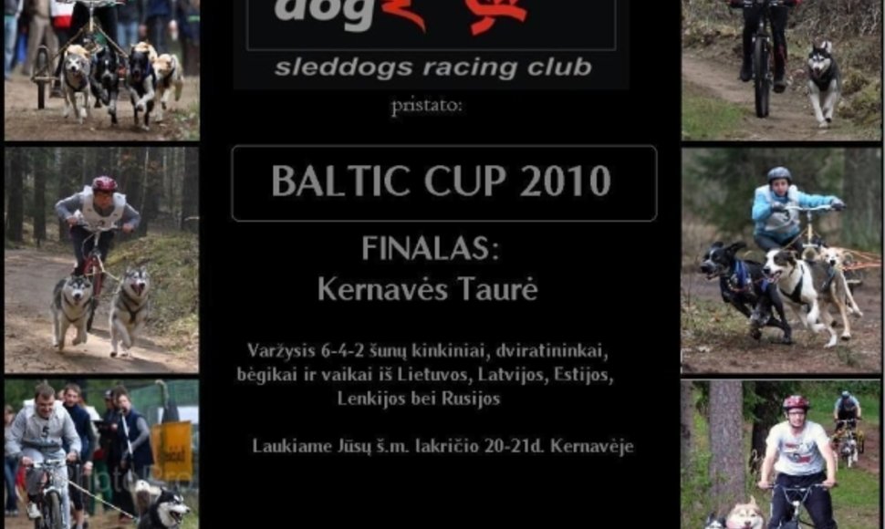 Finalinės „Baltic Cup 2010“ varžybos vyks Kernavėje.