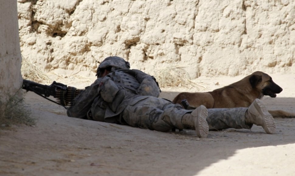 JAV karys su karo šunimi Afganistane per operaciją (2010 m.)