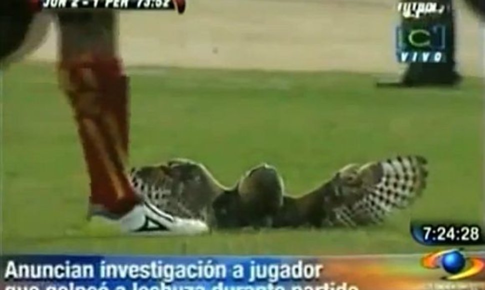 Luisas Moreno išspyrė iš aikštės bejėgį paukštį.