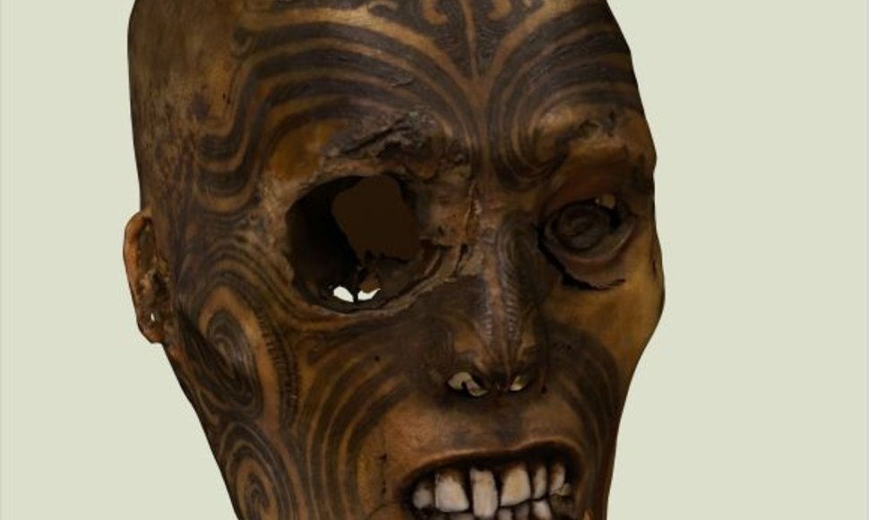 Trimatė maorių kario galvos rekonstrukcija