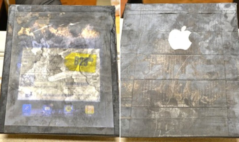 Vietoje „iPad“ amerikietė dėžėje rado štai tokį „įrenginį“.