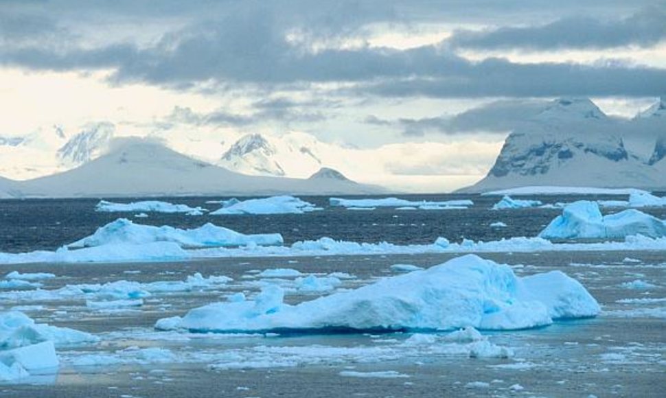 Antarktidoje sudužo vienas iš dviejų poliarininkus aprūpinusių lėktuvų.