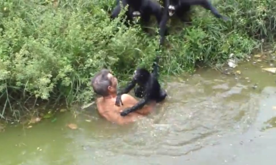 Susidūrimas su beždžionėmis brazilui João Leite dos Santosui baigėsi ne itin linksmai.