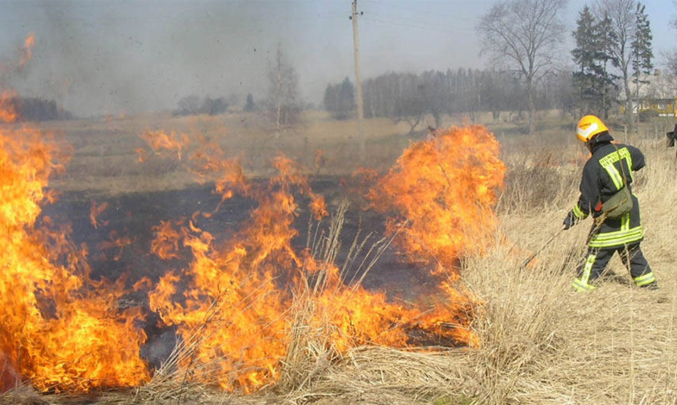 Ugniagesiai gesina degančią žolę