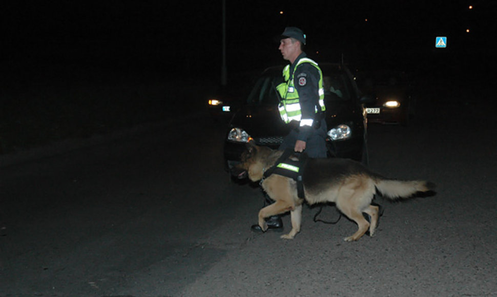Tarnybinis policijos šuo įvykio vietoje