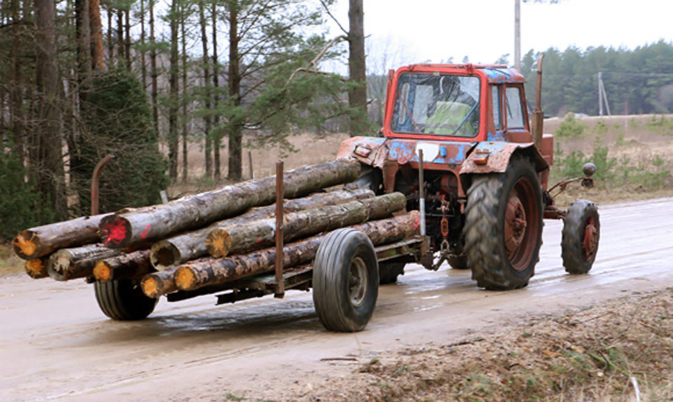Traktorius gabena nukirstus medžius