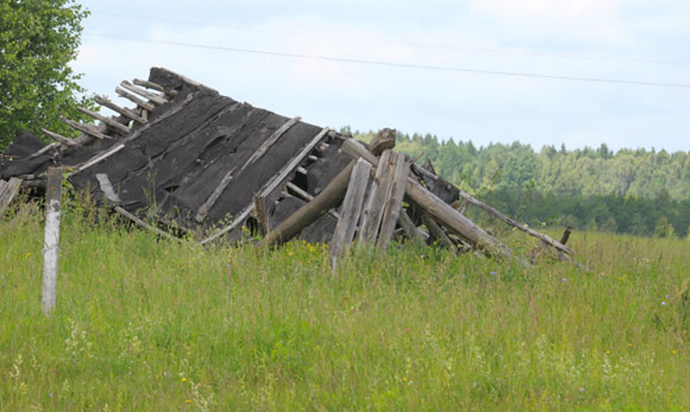 Krizė