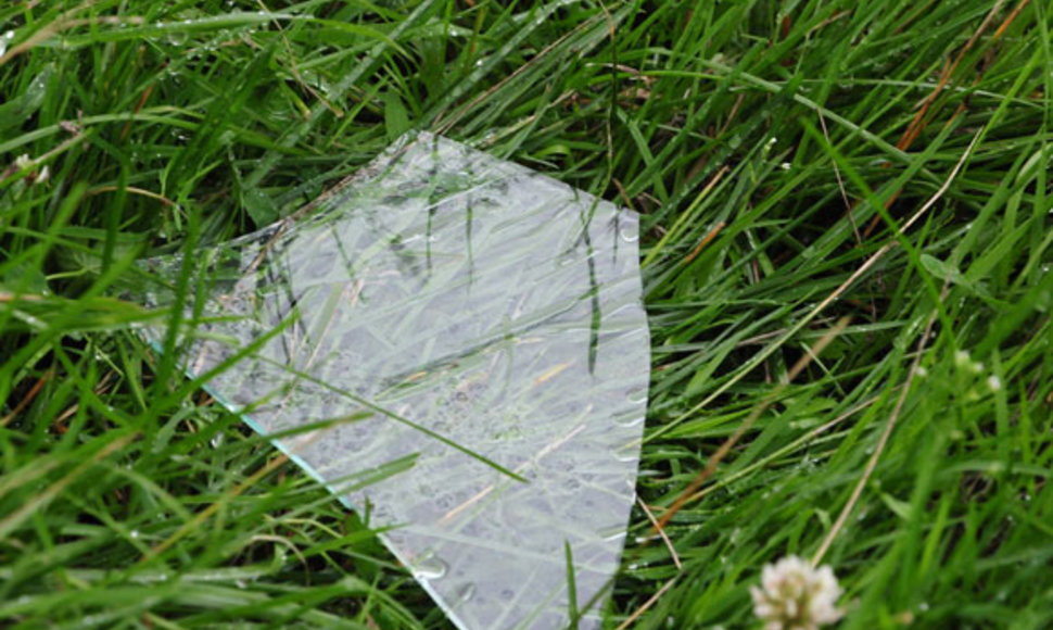 Stiklas žolėje