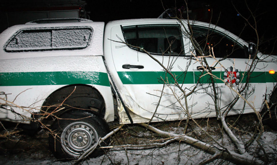 Policijos automobilis nulaužė pušį