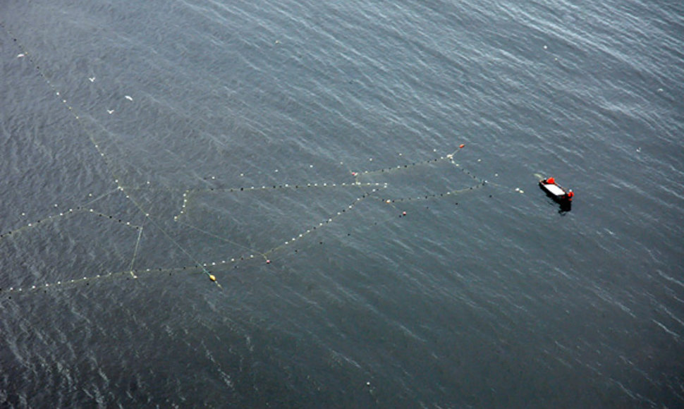 Žvejų tinklai jūroje
