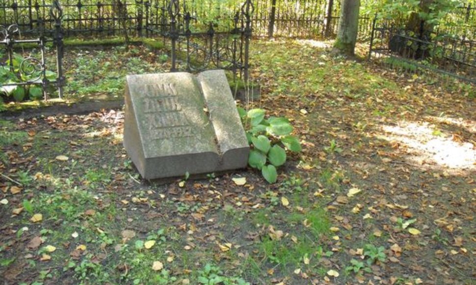 Ant J.Žiliaus-Jonilos kapo stūkso paminklas, tačiau jo ribų nebematyti. 