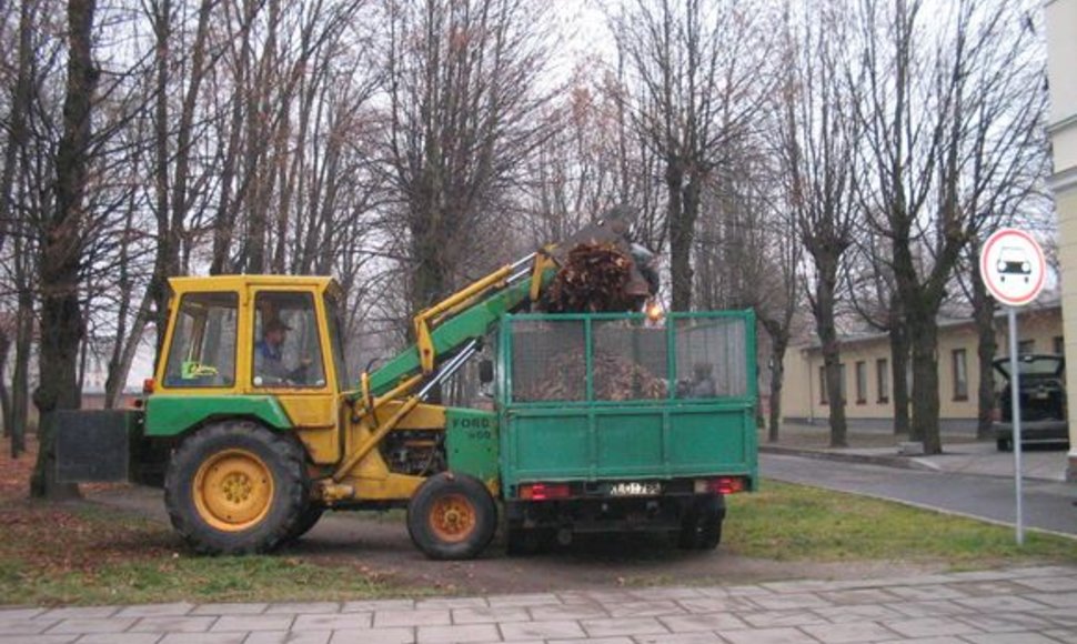 Rudeniai lapai – puošmena, tačiau vargas kiemsargiams.