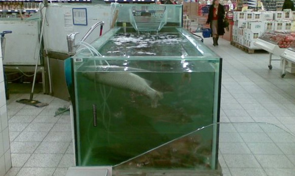 Sostinės prekybos centrai teigia besilaikiantys reikalavimų gyvų žuvų priežiūrai, tačiau centruose  pasitaiko ir tokių vaizdų.