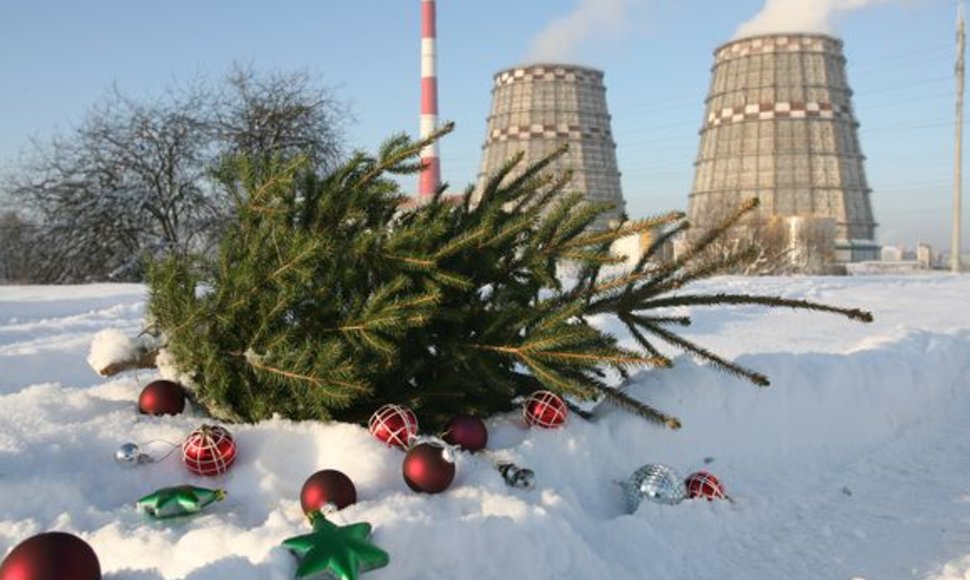Surinktos kalėdinės eglutės keliaus į „Vilniaus energiją“, iš kur skleis šilumą centralizuotai šildomiems vilniečių namams.