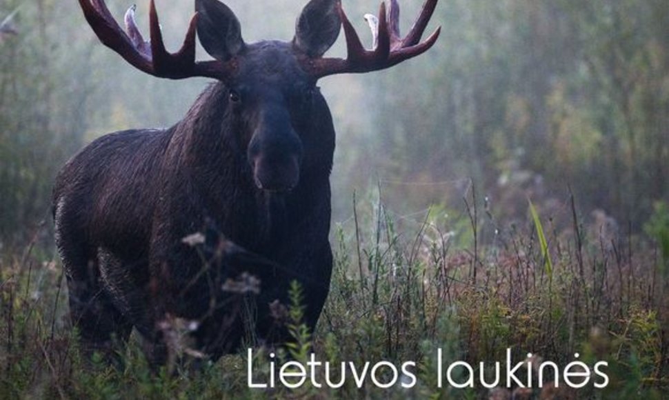 Albumo „Lietuvos laukinės gamtos fotografija 2010“ viršelyje – geriausia metų fotografija: Vytautas Knyva „Auštant...“