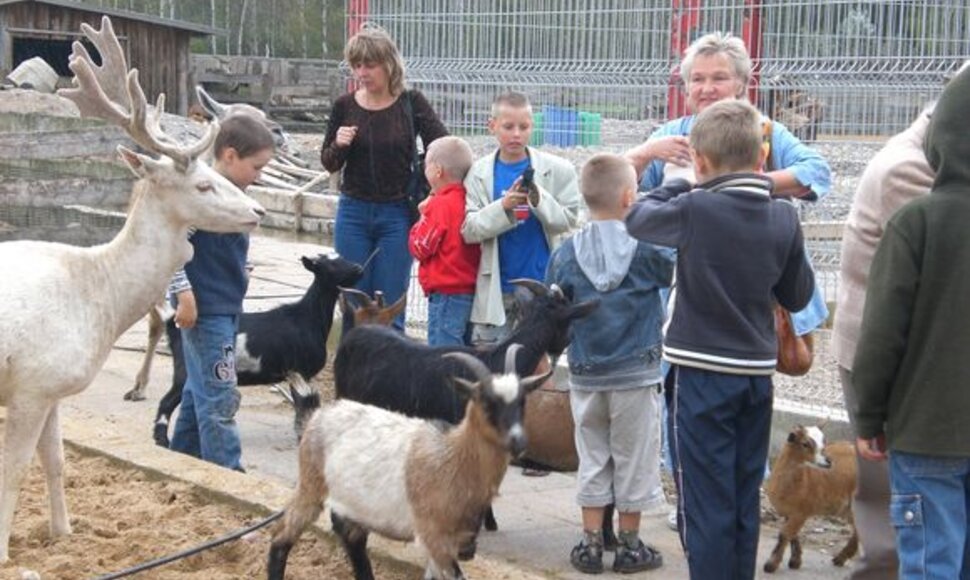Klubo „Trečiasis amžius“ nariai senjorai prieš naujuosius mokslo metus daugiavaikių šeimų vaikus pakviečia aplankyti „Mini Zoo“.
