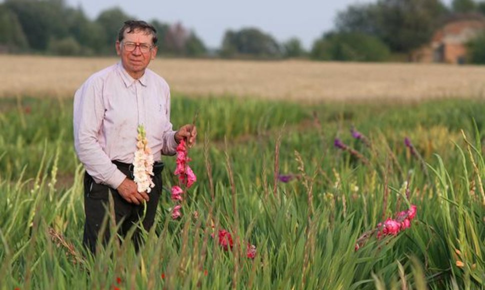 P.Ciplijauskas savo išvestoms kardelių veislėms suteikė ir savo žmonos bei sūnaus vardus. 