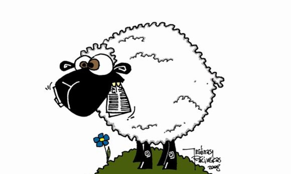 08nebuk avis - skaityk.JPG