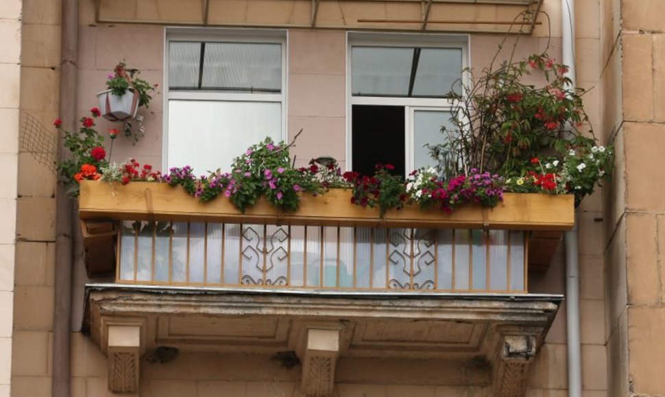 Žydintys balkonai