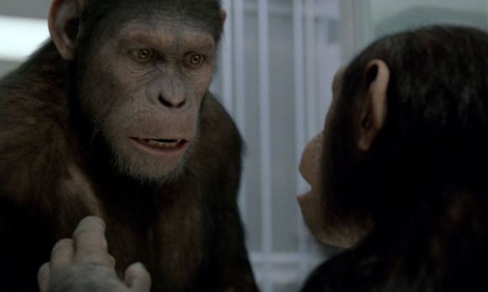 Filmas „Beždžionių planetos sukilimas“