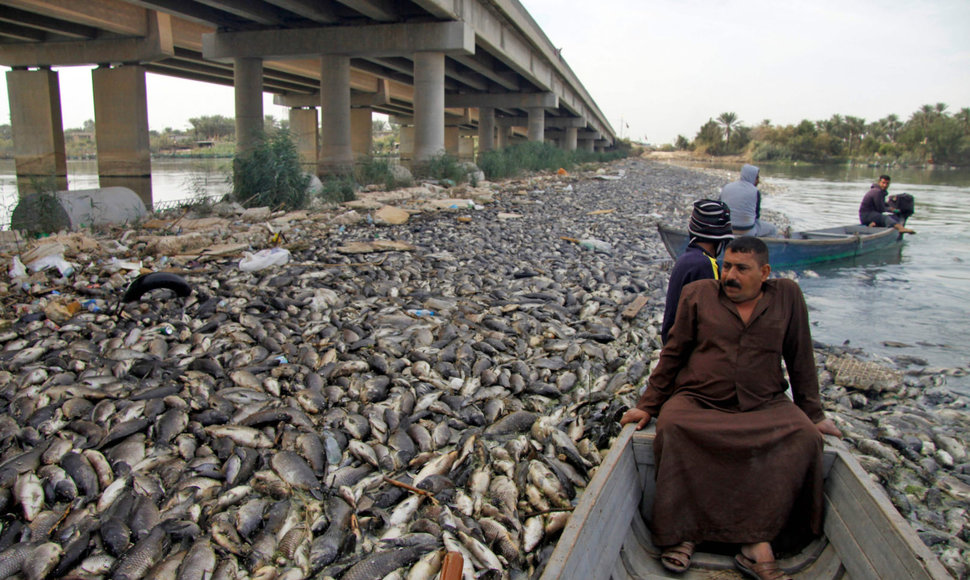 Irake mįslingai nugaišo tūkstančiai karpių.
