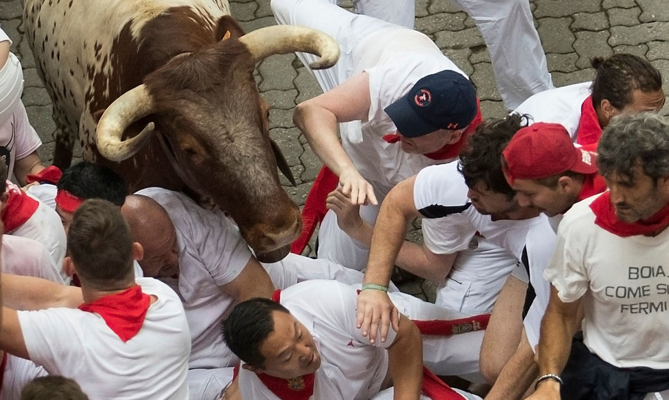 San Fermino festivalio bėgimas su buliais