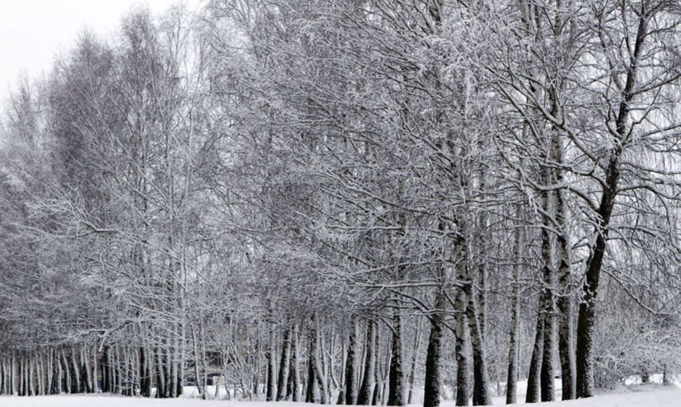 Žiema Vilniuje 