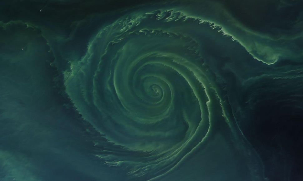 Ši įspūdinga žalia spiralė atsirado Baltijos jūroje per 2018 m. masinį dumblių žydėjimą. 