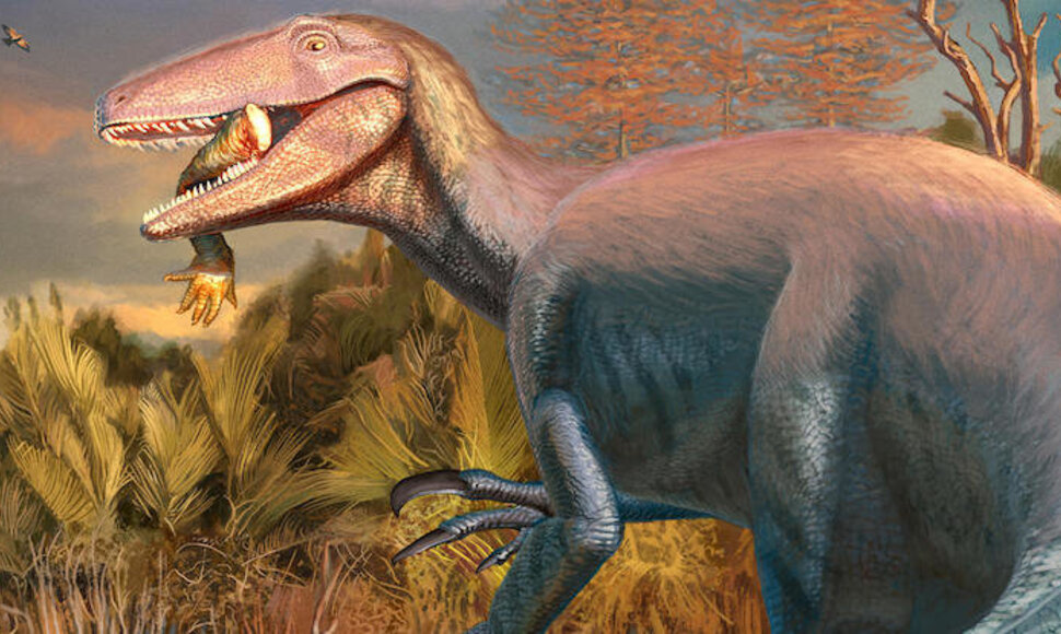 Menininko rekonstrukcija Joaquinraptor su krokodilu dantyse.