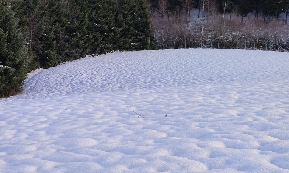Plungės r. 2025-11-22, 9:26 val.