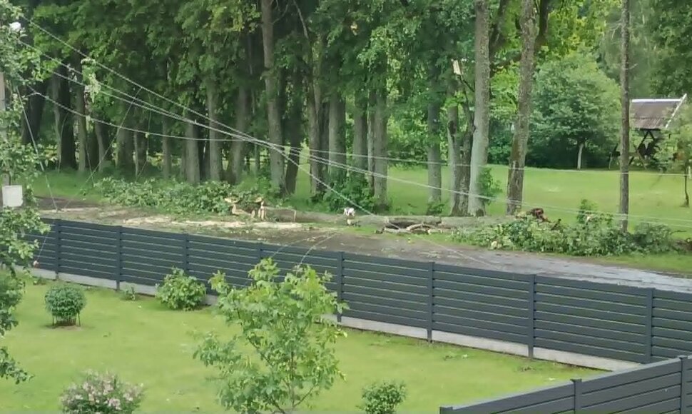 Nutrūkę elektros laidai