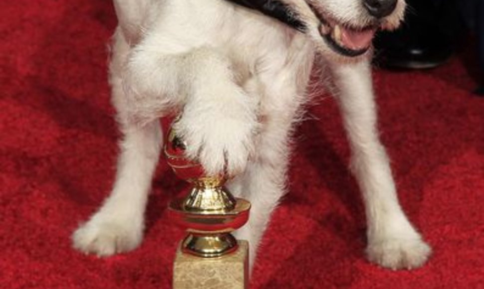 Uggie „Auksinių gaublių“ ceremonijoje