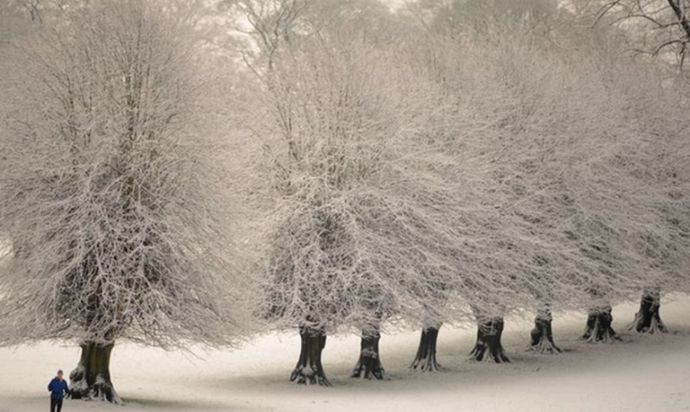 Britai gali džiaugtis tikra žiema, didelės sniego dozės  sukelia ir problemų, tačiau vis tiek džiugina mažus ir didelius.