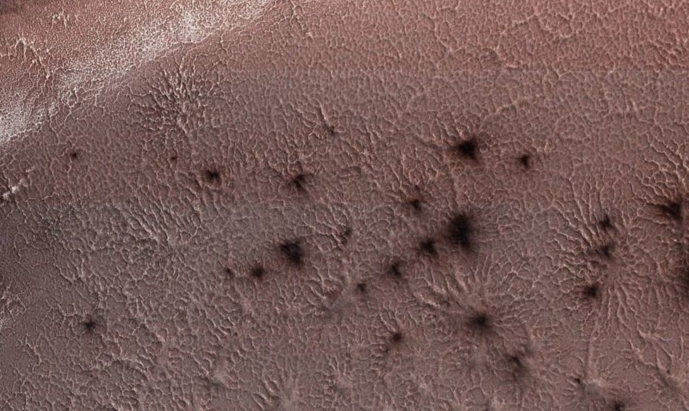 Marso vorai