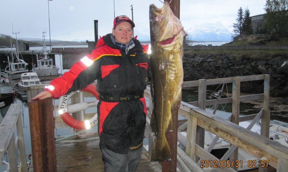 Arūno Petručio ir jo draugų laimikiai i&scaron; Norvegijos (15-19 kg menkės).