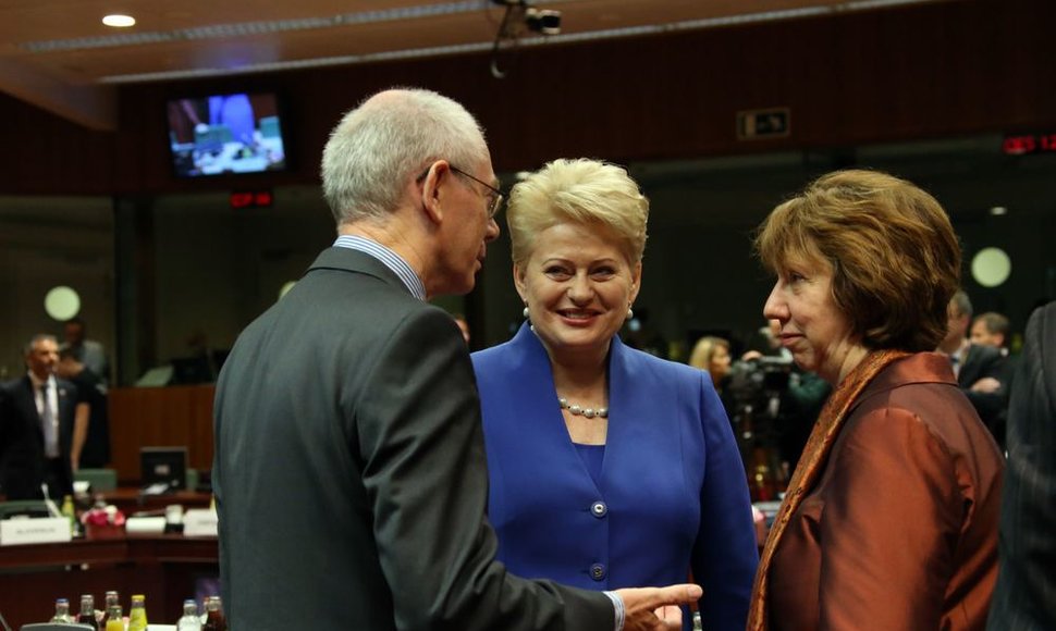 Prezidentė Dalia Grybauskaitė pristatė pirmininkavimo ES prioritetus