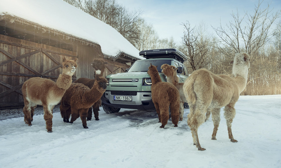 Audrius ir Alma Sutkai kelionę aplink pasaulį tęsia su „Land Rover Defender“