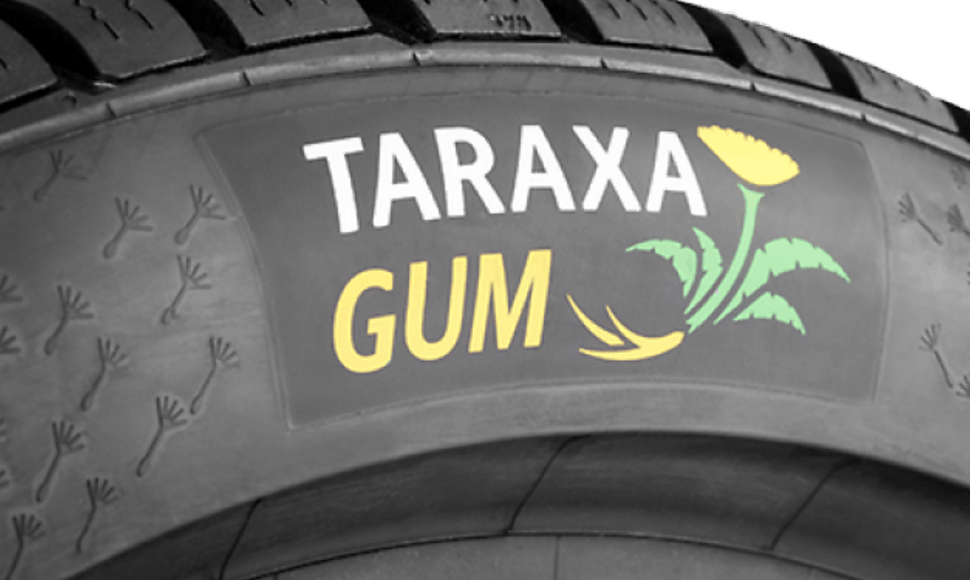  „TARAXA Gum“ eksperimentinės padangos