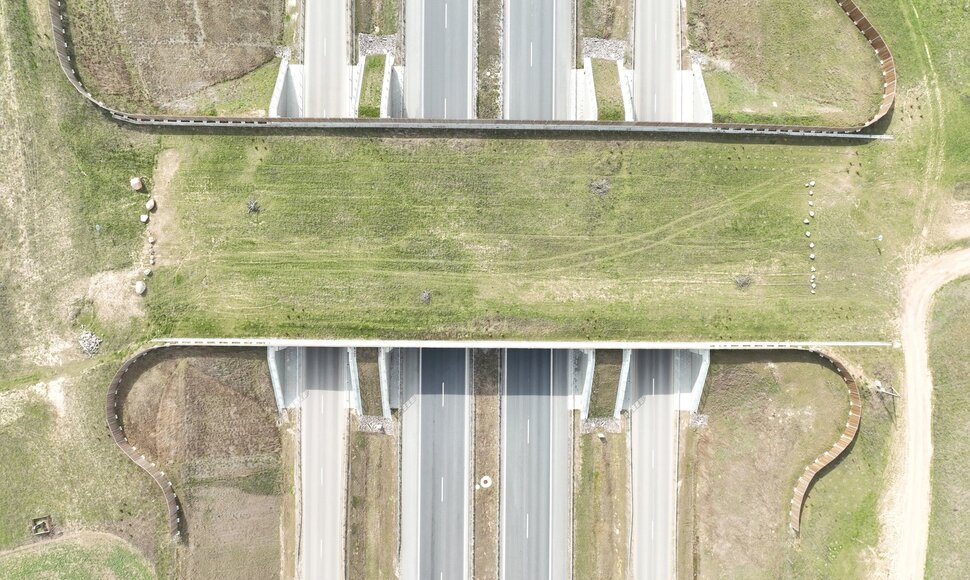 &bdquo;Via Baltica&ldquo; žaliasis tiltas gyvūnams