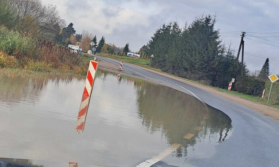 Patvinusi pagrindinė Avižienių gatvė