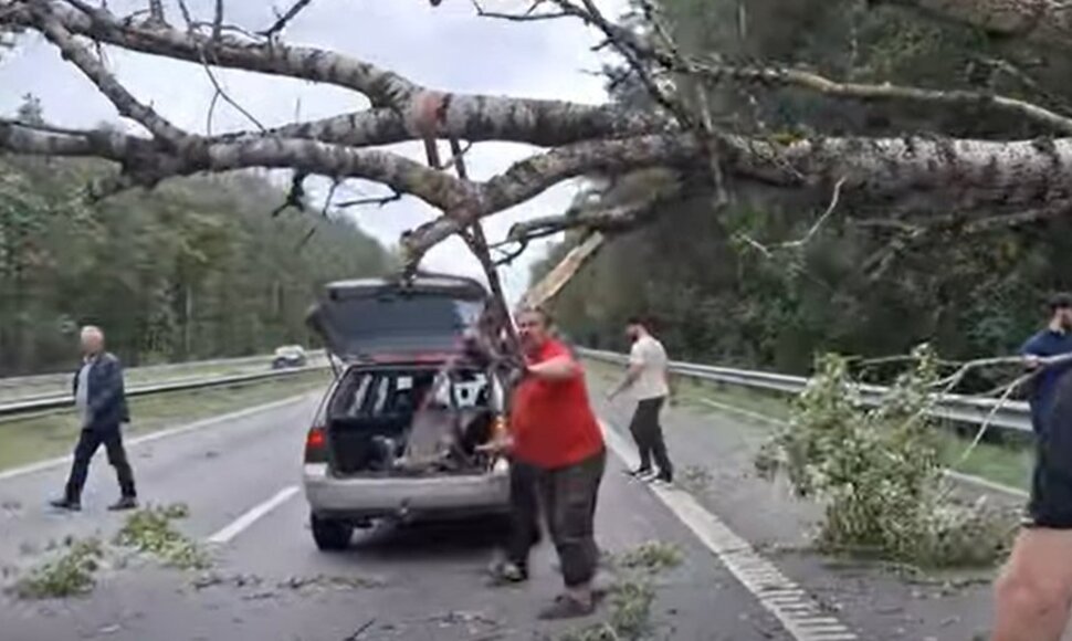 Medžio šalinimas automagistralėje A1 po audros