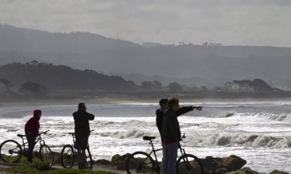 Kalifornijos pakrantė deramai sutiko cunamį