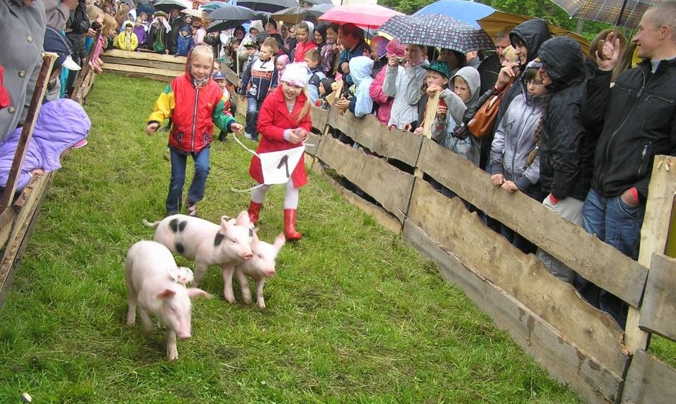 Paršelių čempionatas