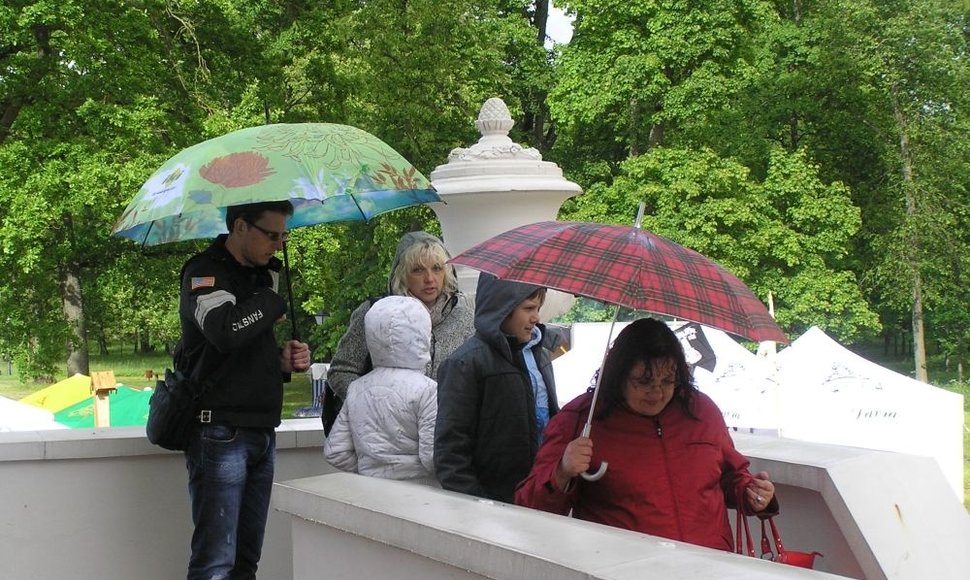 Šventės vedėjai kvietė žiūrovus neišsivaikščioti, bet... lietus daugelį išvaikė.