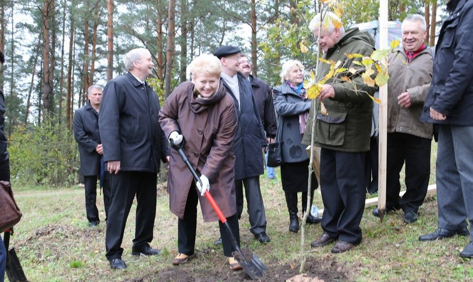 Dalia Grybauskaitė sodina ąžuoliuką.