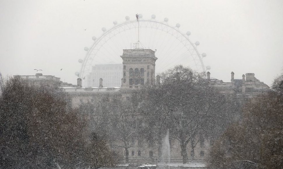 Londone sninga.