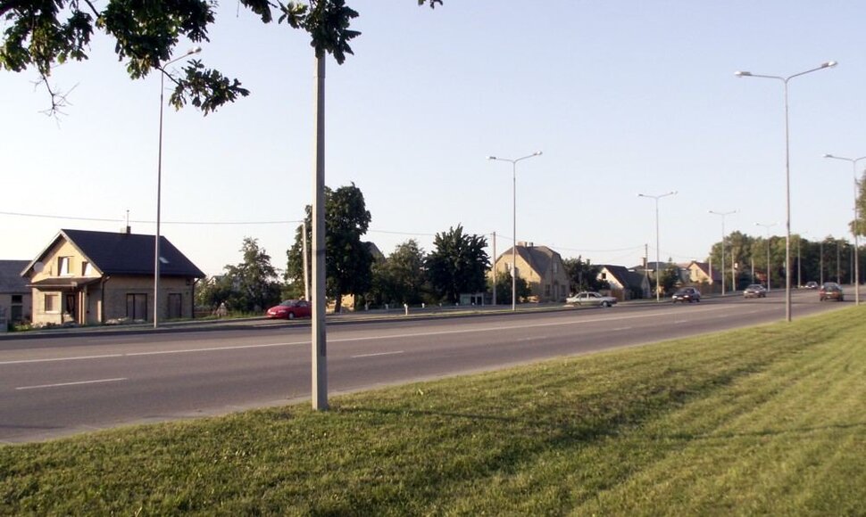 Lieporiai