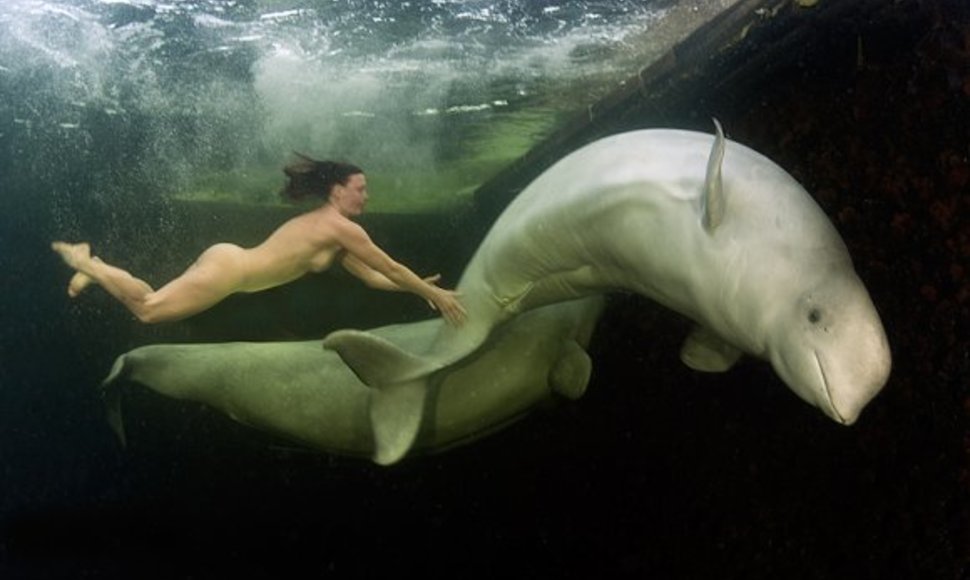 Natalijos Avsejenko pasiplaukiojimas su baltaisiais delfinais