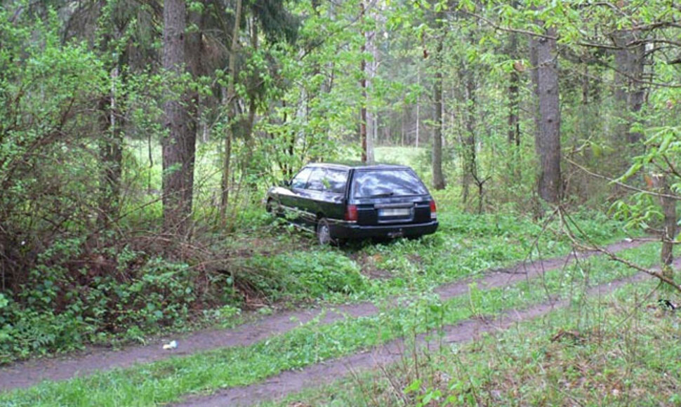 Mi&scaron;ke paliktas automobilis